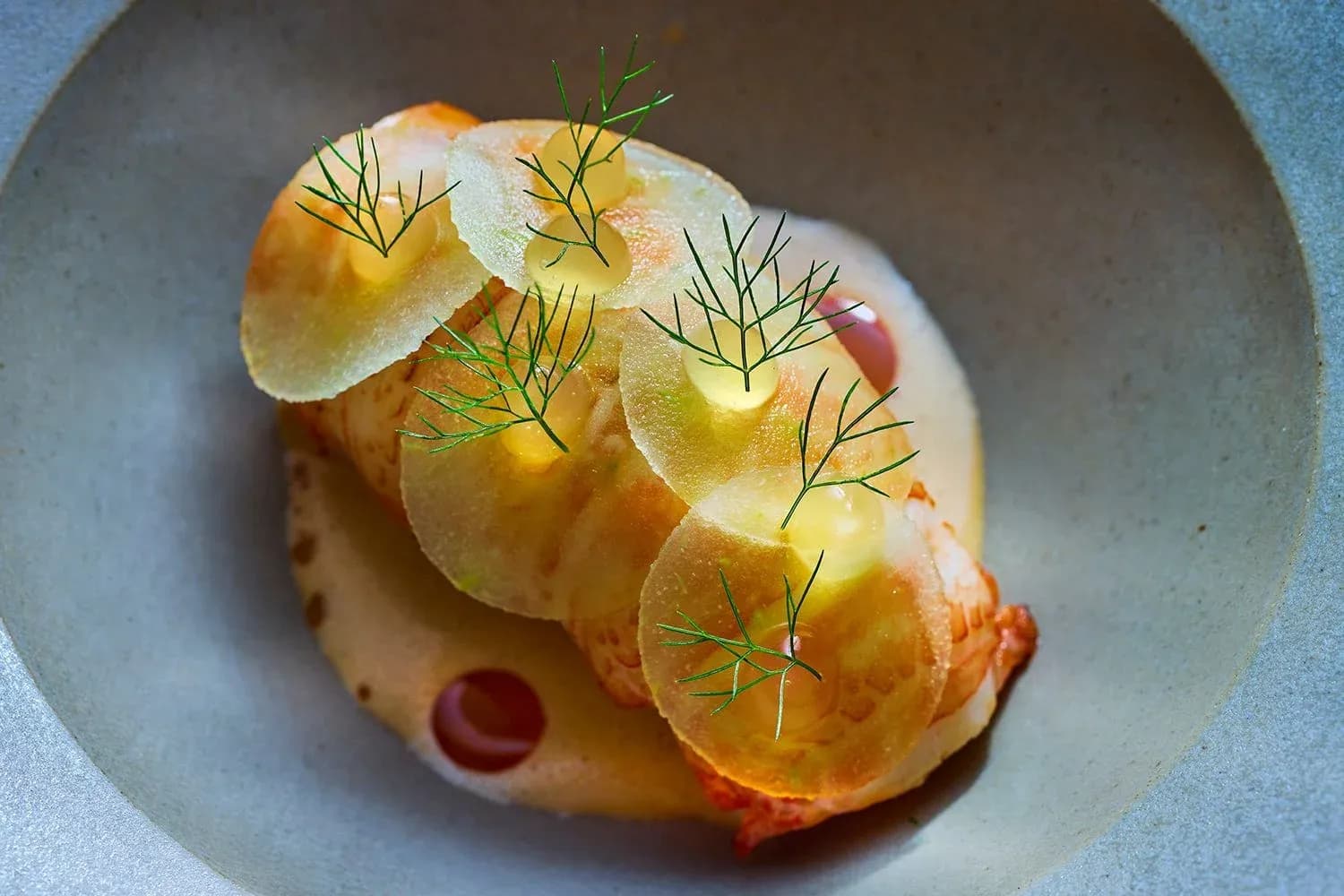 Dish featuring a lobster tail, topped with garnises, served in a round grey bowl.