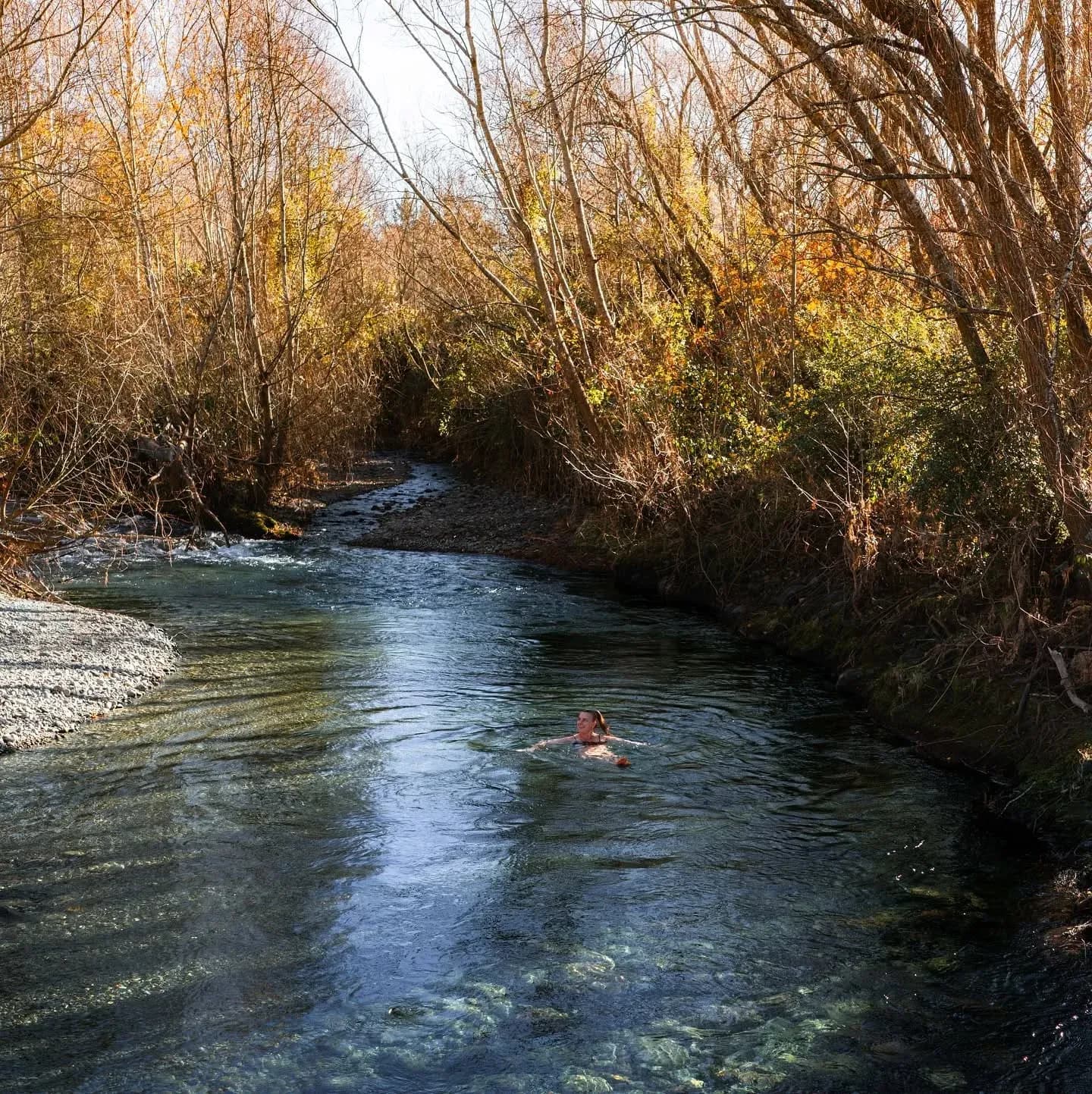 A guest floating in a clear river surrounded by autumn foliage and bare trees along the bank.