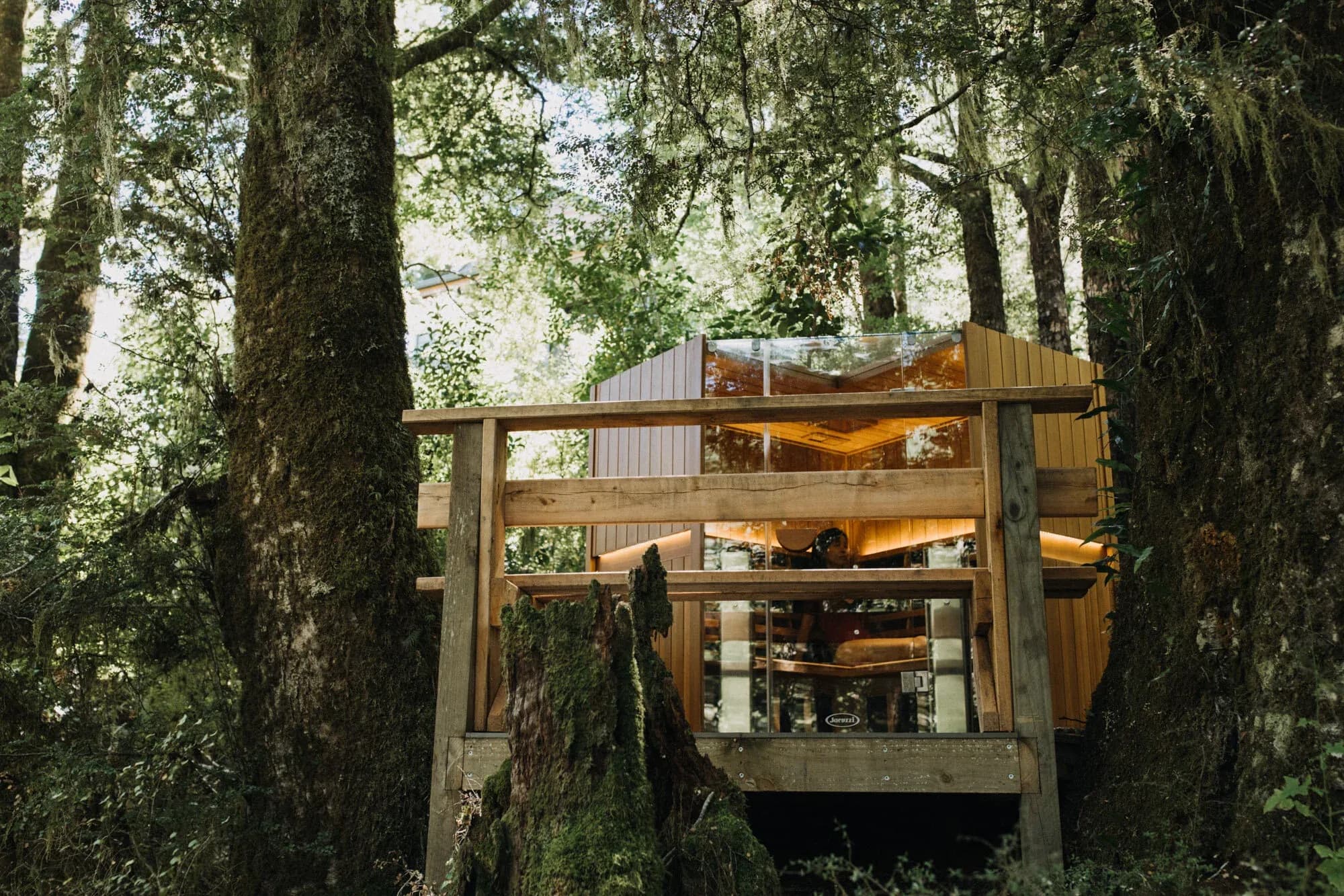 Timber sauna structure elevated among trees, featuring glass panels, wooden deck, and natural surroundings at Maruia River Retreat.