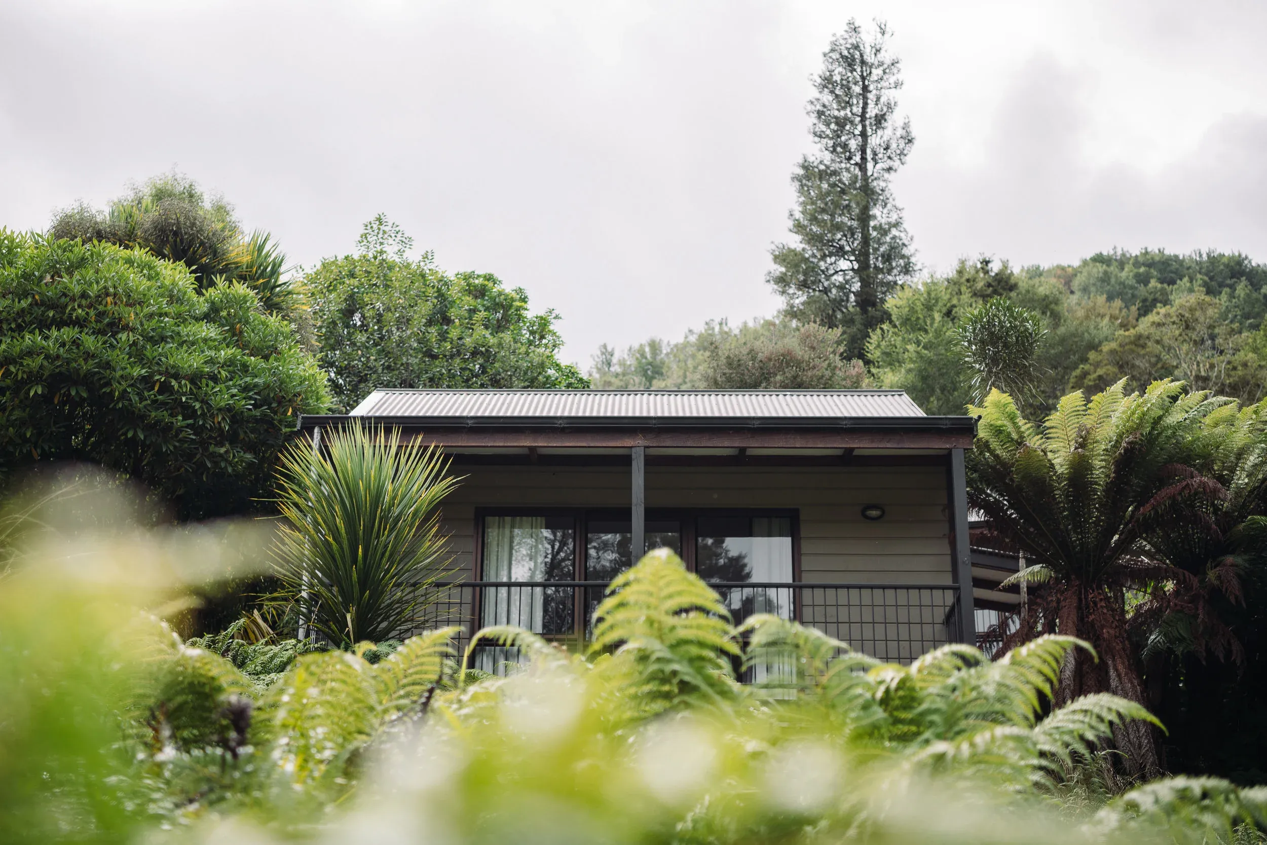 Timber villa surrounded by lush greenery, with a metal roof, large windows, and a deck visible through ferns.