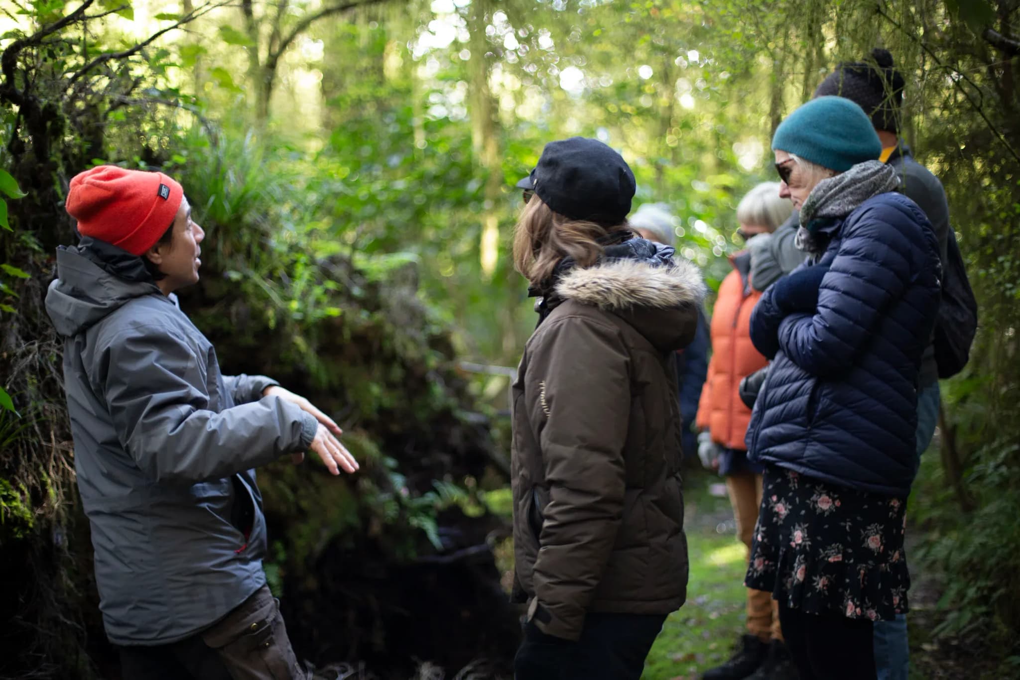Guests engaged in conversation along a forest path, surrounded by lush greenery and dappled sunlight.